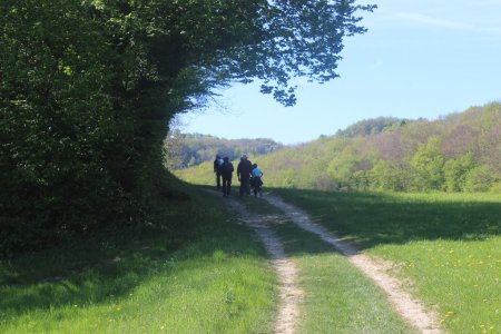 Chemin avant la Chambotte