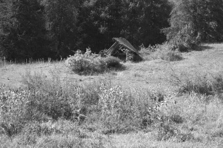 Cabane de Meyriès