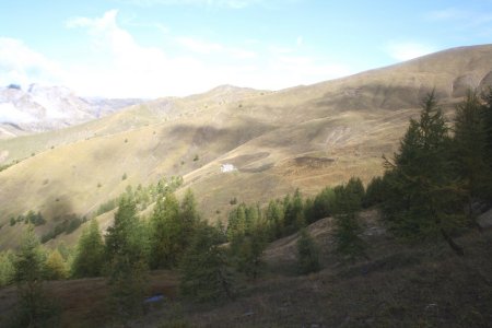 Dans la descente par le bois de l’Indigo. En face, la cabane et l’itinéraire de l’aller.