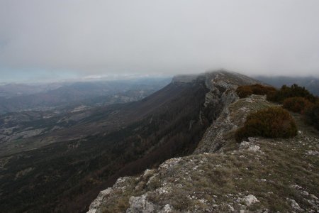 Les crêtes