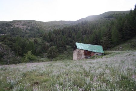 Cabane de Cuson