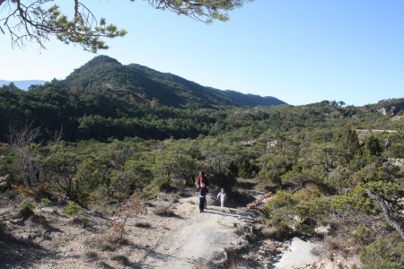 Regard en arrière. Le vallon et la crête des Gauthiers à l’Ouest