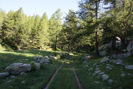 De nouveau une piste