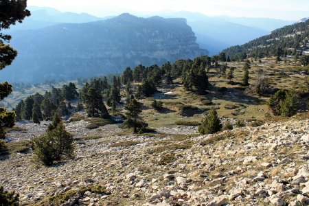 Descente par le Bois du Roi