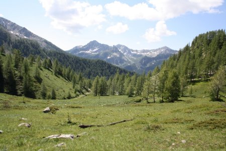 La redescente dans l’alpage