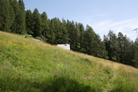 La cabane de Michard dans sa belle prairie