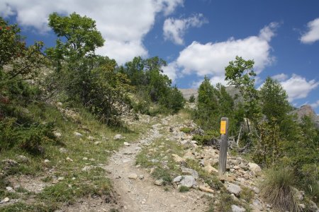 Le GR56B qui coupe la piste à plusieurs reprises