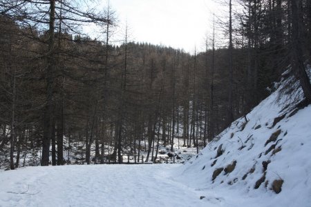 La route que l’on retrouve à la hauteur du pont