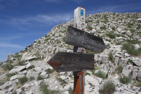 La balise avec ses panneaux de mélèze cuits par le soleil