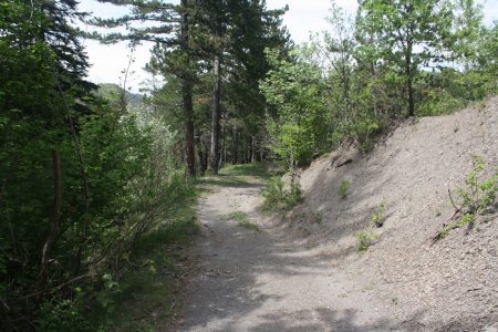 Piste forestière pour retourner sur Villeplane