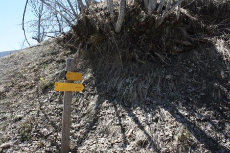 Balise du départ au bord de la route