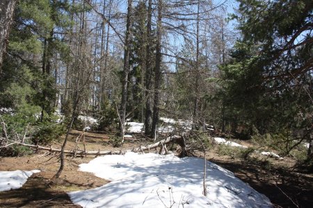 on atteint les premières plaques de neige