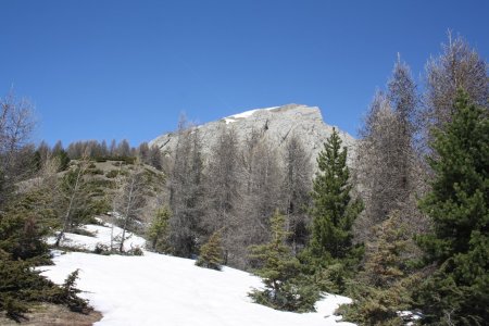 L’objectif est bien en vue