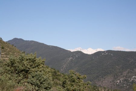 Depuis la piste à l’Est de la Cima, vers le Nord-Est, la longue crête forestière du Mont Férion et sa tour de guet du sommet. Derrière sommets enneigés du Mercantour du secteur de la Vésubie/Roya