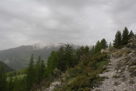 Sentier. Vers l’Ouest et le domaine skiable du Seignus avec l’Autapie et le Gros Tapy