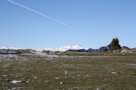 Le Mounier à ras du replat au retour au Col de l’Autaret