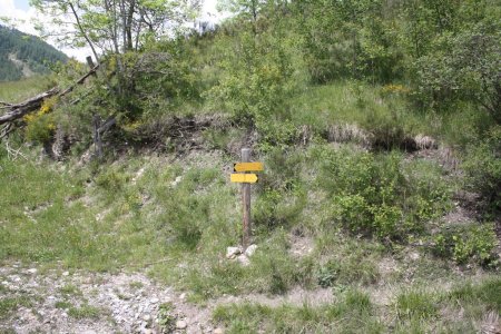 La balise au bord de la route