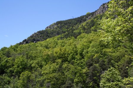 Vue sur un vallon boisé que nous avons traversé