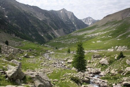 Vallon et passerelle