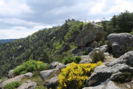 Sur l’arête qui remonte vers Essalois