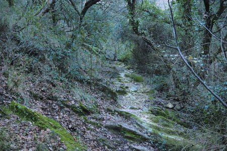 Montée à l’ombre.