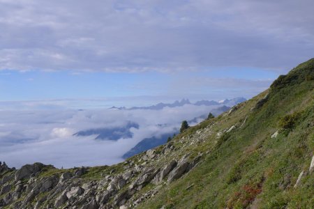 en redescendant - Aiguilles d’Arve et Meije