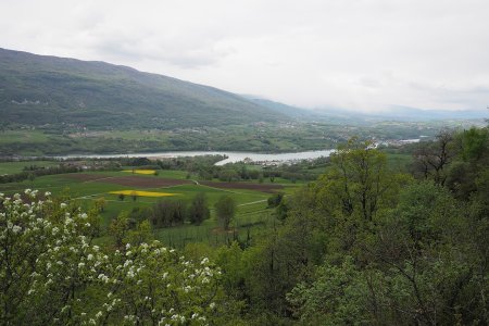 Sur le replat au-dessus de Landernier. Vue sur le confluent Fier-Rhône.