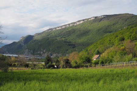 Le mont de Corsuet vu de Brison.