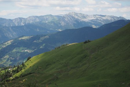 Les pentes herbeuses du versant ouest de Sulens, vues de la pointe 1759. Au fond, le mont Lachat.