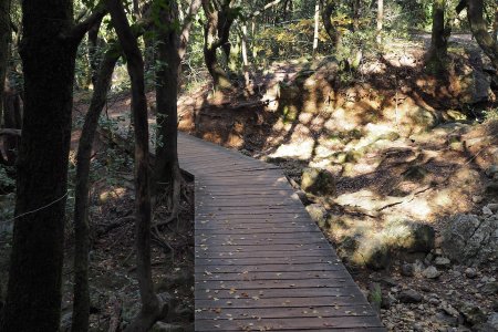 La passerelle en bois, où l’on trouve le sentier qui mène au plateau.