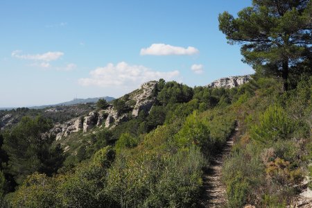 Du col coté 535, ce joli sentier part dans le vallon de la Figuière, mais ce n’est pas le bon...