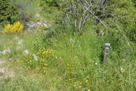 A la balise prendre en oblique (45°) à droite pour tomber sur le poteau (trop bas !)