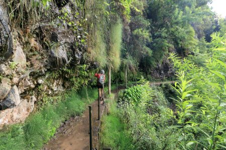 Levada do Moinho