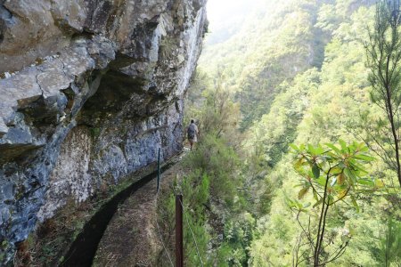 Levada do Seixal / partie aérienne