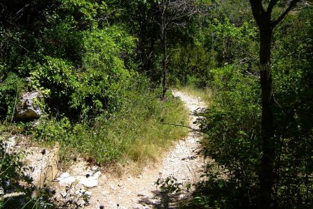 La dernière bifurcation. A gauche le GR 9, tout droit le retour sur Monieux.