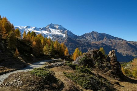 Le Mont Pourri omniprésent dans la descente 