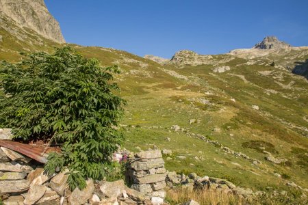 Ruines du chalet du Soliet