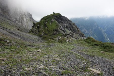 petite bosse surmontée d’un arbre isolé, qui signale la fin du sentier et le début des difficultés