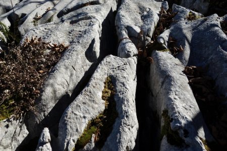 lapiaz sur le chemin