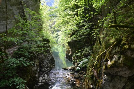 Gorges de l’Areuse