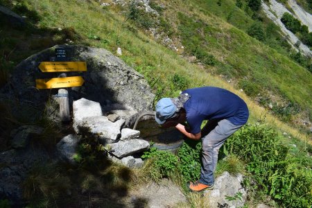 Rafraîchissement à la fontaine !