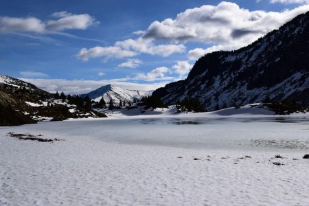 Au bord de l’Etang du Pla de la Font.