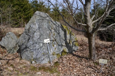 Conglomérat de Vallorcine