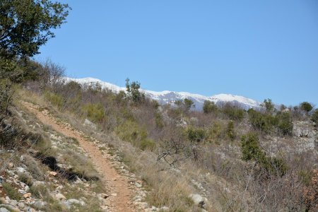 Remontée vers la source de l’Albaréa