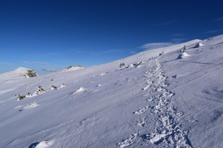 La montée finale.