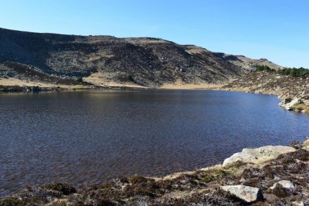 Le paisible cadre de la Laguna Helada.