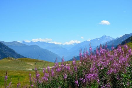 Le Val d’Aoste et la Grivola vus du départ