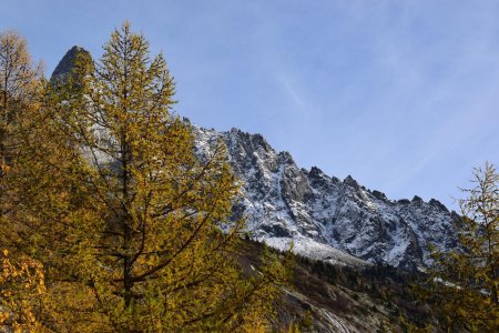 Le Dru et les Flammes de Pierre.