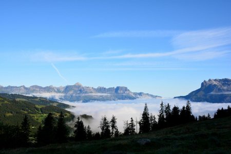 Sortie de la forêt aux abords des chalets du Truc