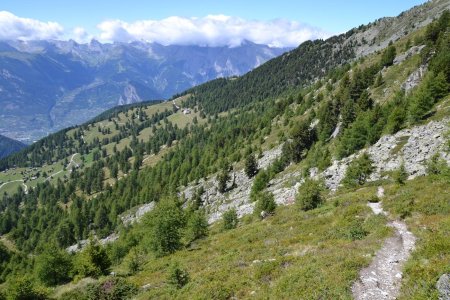 Descente du Basso d’Alou vers la combe